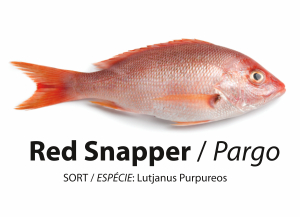 Peixe - Pargo